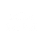 red bull_logo